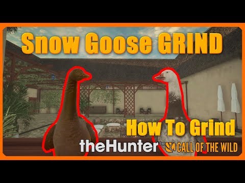 How to Hunt Snow Geese 🎯 | Full Beginner's Goose Hunting Guide - 1JMGames
