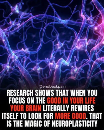 Endbackpain on Instagram: "Neuroscience demonstrates that repeated patterns of thought strengthen the neural circuits associated with them—a principle known as experience-dependent neuroplasticity. Practices like gratitude, positive reflection, and intentional attention to positive experiences increase activity in brain regions involved in emotional regulation and reward, while reducing stress-related signaling. Over time, these reinforced neural pathways make it easier for the brain to notice o