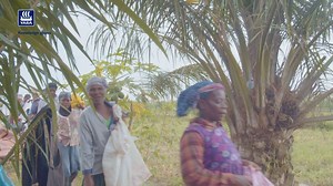 91K views · 684 reactions | At #Yara, we believe in the power of...