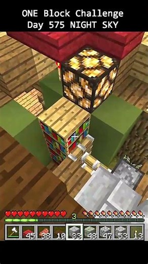 Day 575 Minecraft build challenge - ONE BLOCKS BUILD