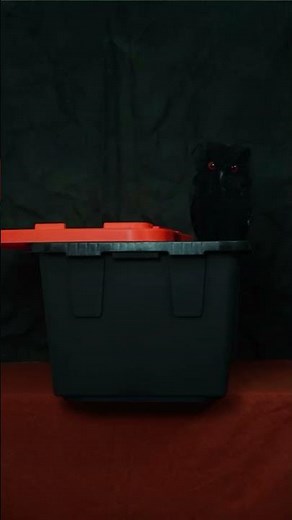 We're HOOT'N and HOLLERING because Halloween is only two weeks away!