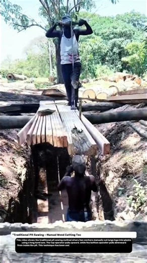 Traditional Pit Sawing – Manual Wood Cutting Technique | Primitive Sawmill Engineering