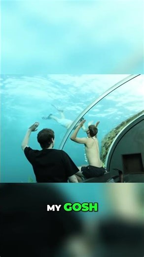 Underwater Bathroom Prank: Epic Fish Reveal! #shorts