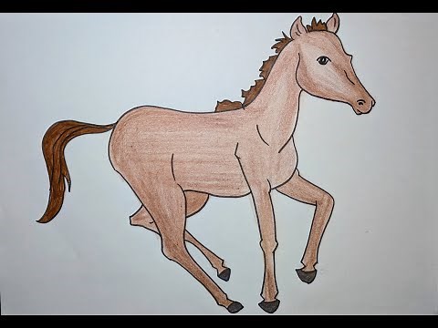 Easy baby horse/ Foal drawing for kids