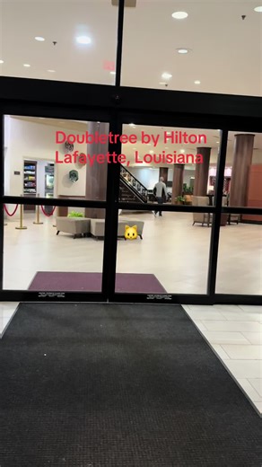 #straycat #hilton #lafayette #louisiana #empathy
