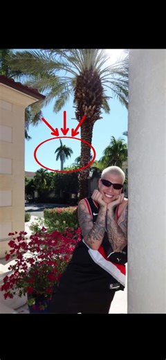 Gente parem de força, ele nao gosta!! configuração do pc: CPU: AMD Ryzen 9 9950X3D GPU: NVIDIA GeForce RTX 5090 Placa-mãe: ASUS ROG Crosshair X870 Extreme RAM: 96–128 GB DDR5 SSD: NVMe PCIe 5.0 – 4 TB Cooler: Water cooler 420 mm / loop custom Fonte: 1600 W 80 Titanium Gabinete: Full Tower high-airflow #yuri22 #rajah #casal #fyp #edit