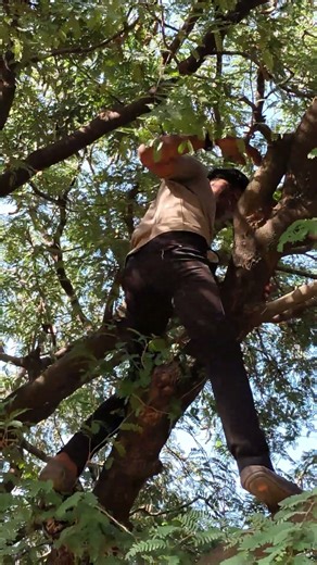 याड लागलं याडं लागलं ग सैराट मूवी . Yad lagal yad lagal g. #trending #shortsfeed #shorts #viral