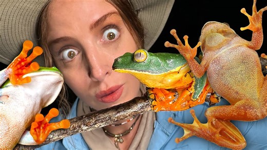 Frog Scavenger Hunt: The Ultimate Adventure