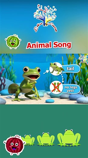 Frog Life Cycle Song 🐸 | Egg to Tadpole to Frog | Fun Educational Song for Kids