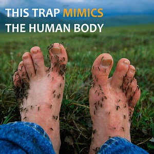 360K views · 50 reactions | Don't Let Bugs Ruin Your Summer ☀️ This Solar & Wireless Bug Zapper will instantly make any patio or backyard BUG-FREE! Get it here  HumbleHousehold.com/BugZapper | Humble Household | Facebook