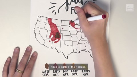 When to expect peak fall foliage colors across US