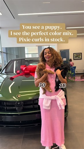 Upgrade your install with our premium pixie curls. Available for purchase and appointments. #ethiopian_tik_tok🇪🇹🇪🇹🇪🇹🇪🇹 #fyp #washingtondc #dmv #curlyhair