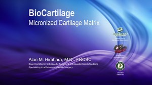 BioCartilage® Cartilage Extracellular Matrix