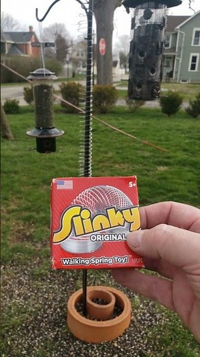 How to Squirrel Proof a bird feeder with a Slinky