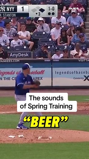 The Sounds of Spring Training: A Sports Experience