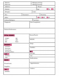 Home Health Nurse Sheet Template ,home Health Care Sheet, Nurse Report Sheet, Home Health Notes, Skilled Nurse Visit, Home Visit Nurse Sheet - Etsy
