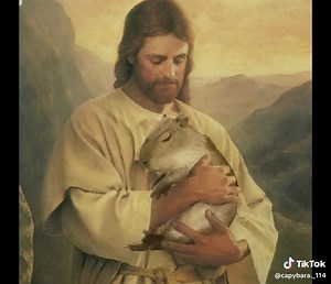 Capybara #capybaravideo #capybaratiktok #games #video #capybara