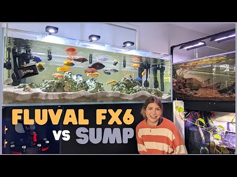 FX6 Canister Filter versus Sump Filtration - Which is Better?