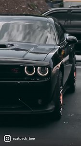 50K views · 3.7K reactions | Bagged Dodge Challenger #bagged #scatpack #hellcatredeye #hellcat #srt #dodge #mopar #rideid #airsuspension #challenger #charger #hemi #demon #musclecar #dodgedemon | scatpack_bee | Facebook