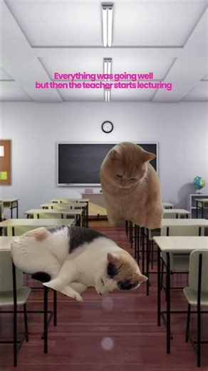 No lecturing in class 😀
