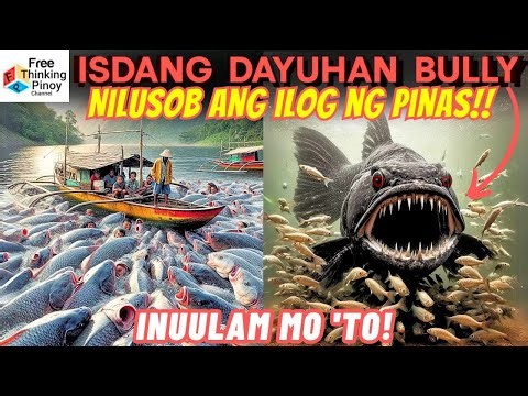 MGA BULLY na isda sa LAKE LANAO | Invasive Fish in Philippines versus NATIVE FISH
