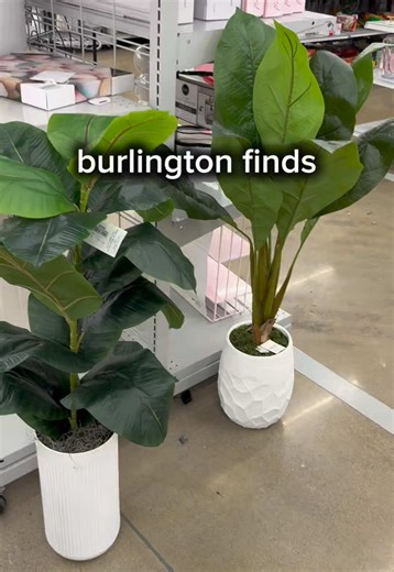 Found some cute home decor pieces at Burlington 🌿 #burlingtonfinds #burlingtonhaul #storefinds #homefinds #decorfinds