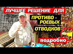 How to CORRECTLY make a division? Divisions of bees on 3-day-old queen cells.