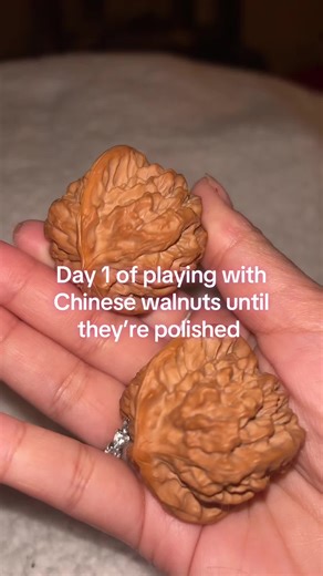 My Therapeutic Wenwan Walnut Journey: Day 1