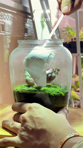 Step-by-Step Guide to Caring for Closed Terrariums