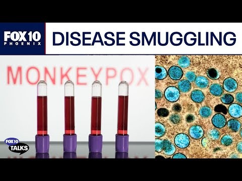 Monkeypox strain intercepted by CBP at Detroit border | Fox 10 Talks