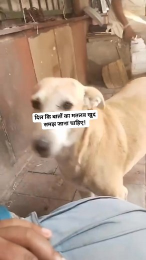 Anand Kumar on Reels