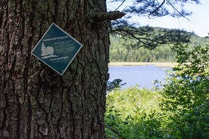 Wetland Conservation — Nature Trust of New Brunswick