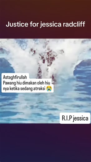 Rahmah olshop (sukriawati) on Instagram: "Jessica pelatih Paus ORKA,dimakan ORKA nya sendiri,dari sini kita bisa Ambi pelajaran apa.... #jangkauanluas #semuaorang #fyp #sorotan #reelsfb #semangat #fypviral #reelsviral #meledak #fbpro"