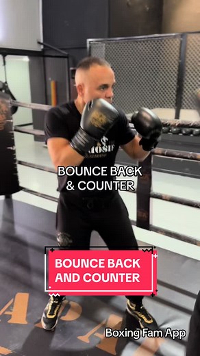 Papaiosif Boxing στο TikTok