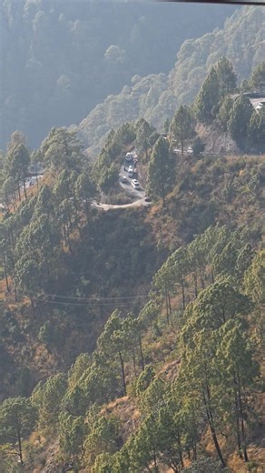 Mithlesh Raj's Nature Moments