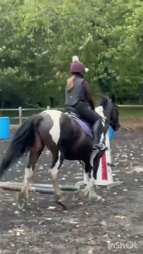 Not sure If I actually wanted to post this ngl.