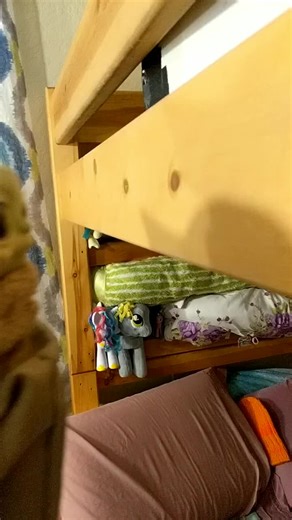 Raising BabyYoda on TikTok