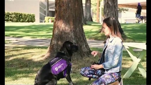Guide Dogs of America TV Spot, 'Our Mission: Transforming Lives'