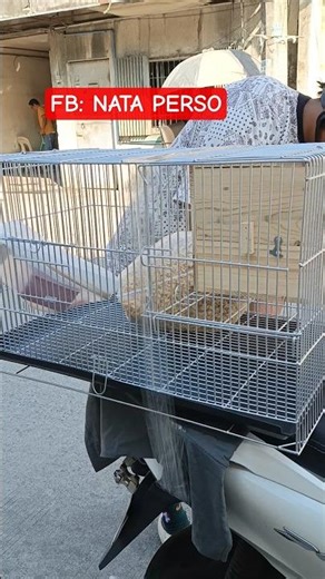 Single bird cage ac type gauge 14.