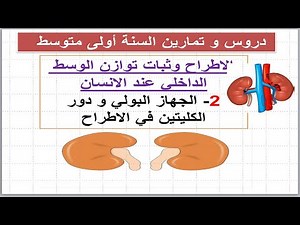 أولى متوسط/ مكونات الجهاز البولي و دور الكليتين في الاطراح