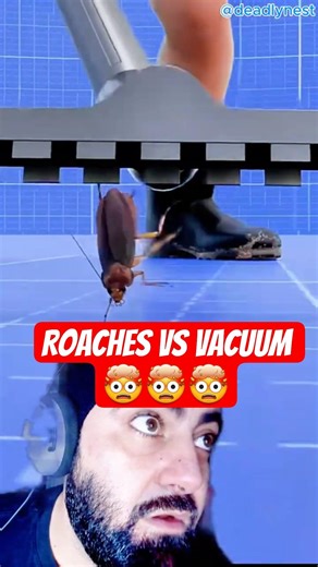 Never Vacuum a Cockroach Again After Seeing This #shorts #lifehack #pests