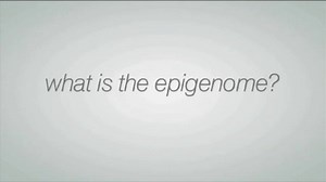 The Epigenome at a Glance