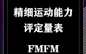 精细运动能力评定量表（FMFM）
