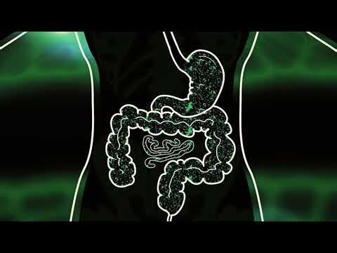 GI ProBalance® Construa o equilíbrio das bactérias do seu intestino