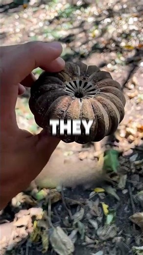 How the sandbox tree really works