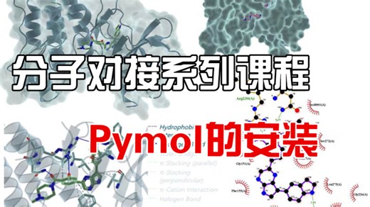 分子对接系列课程 1， Pymol的安装