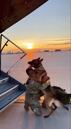 Dog Sprints Across Tarmac to Soldier