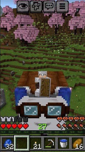 some cool minecraft screenshots