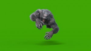 clip-1107953881-werewolf-dark-fur-green-screen-runcycle-front