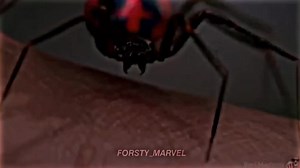 𝙎𝙋𝙄𝘿𝙀𝙍𝙎🕷️🕸️ #tobeymaguire #tomholland #andrewgarfield #malesmorales #GoWinterGames #marvel #linxes #marvel_edits #spiderman #alightmotion #forsty_marvel #edit #edits #fypシ#on #fyr #vine #capcut